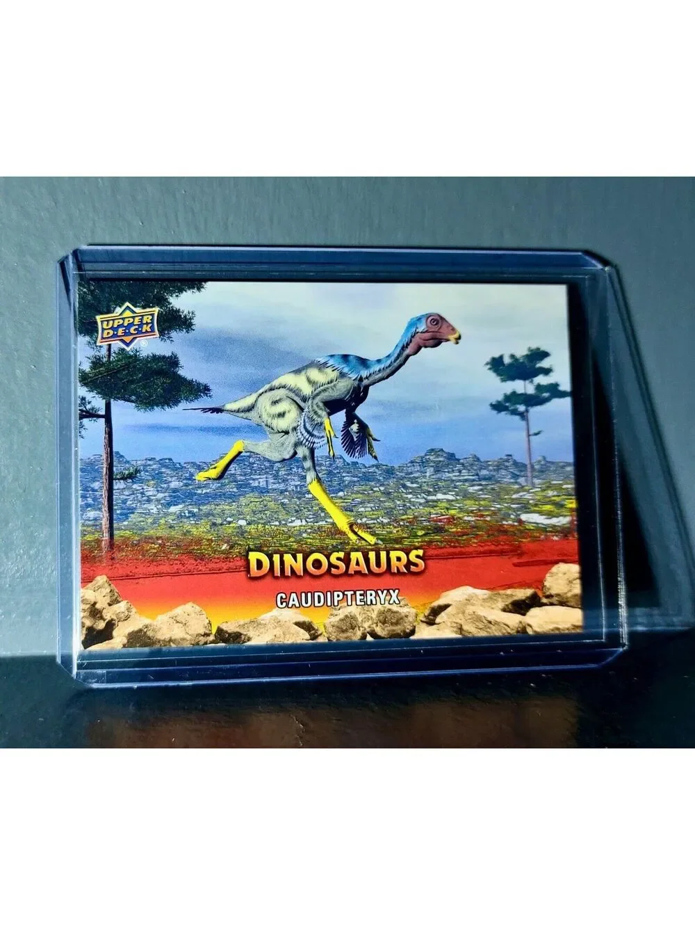 2015 Upper Deck Dinosaurs Caudipteryx Extinction Red Parallel #43 Card